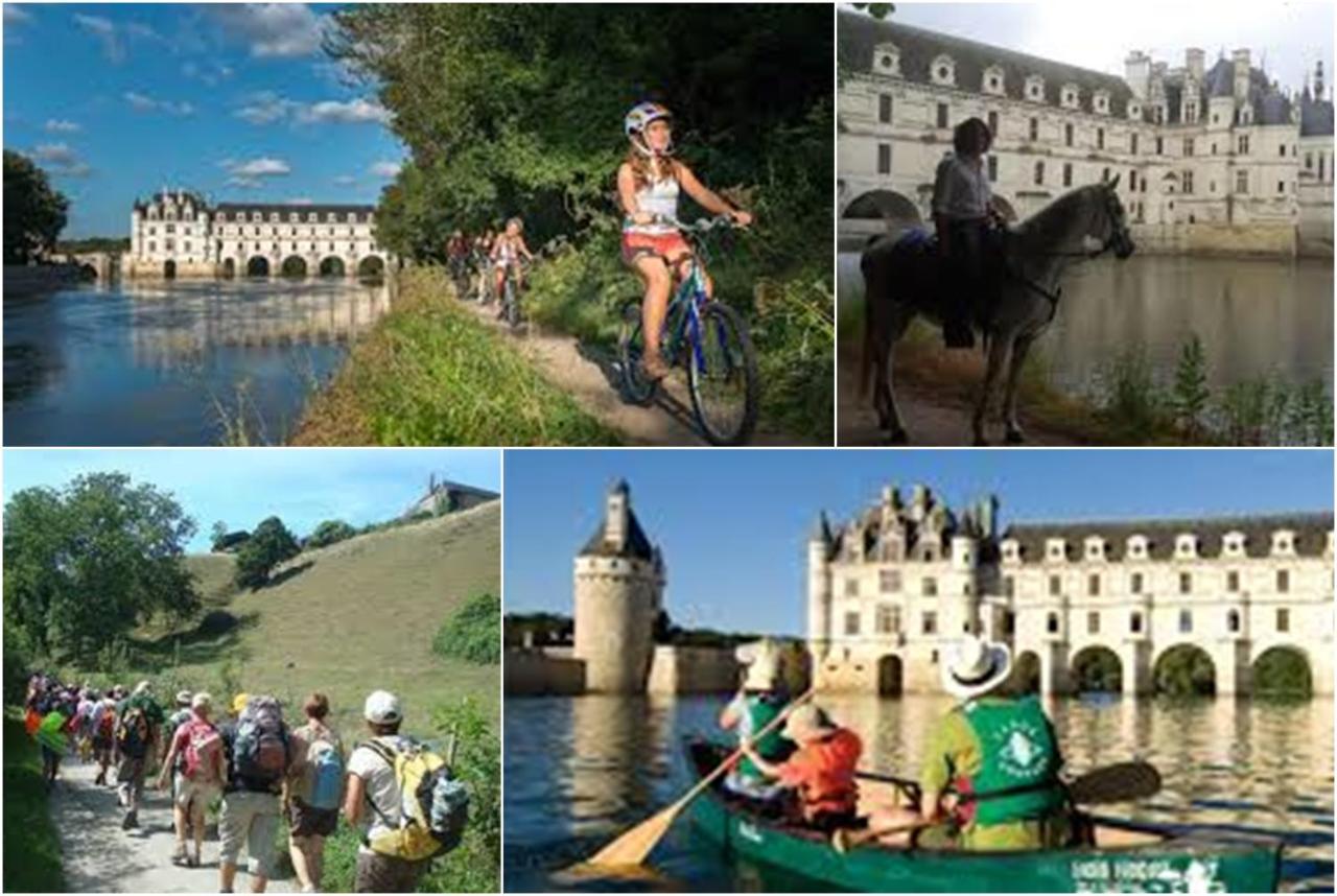 Le Roi Coq Bed & Breakfast Chenonceaux Luaran gambar